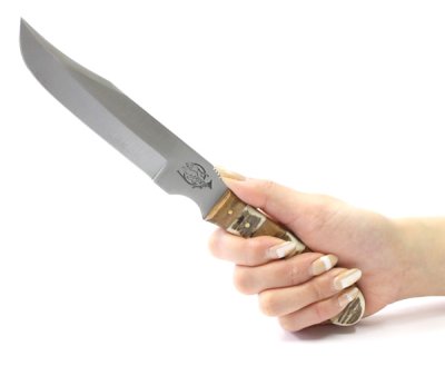 画像1: ハンターナイフ　スキナーフォックスナイフ
