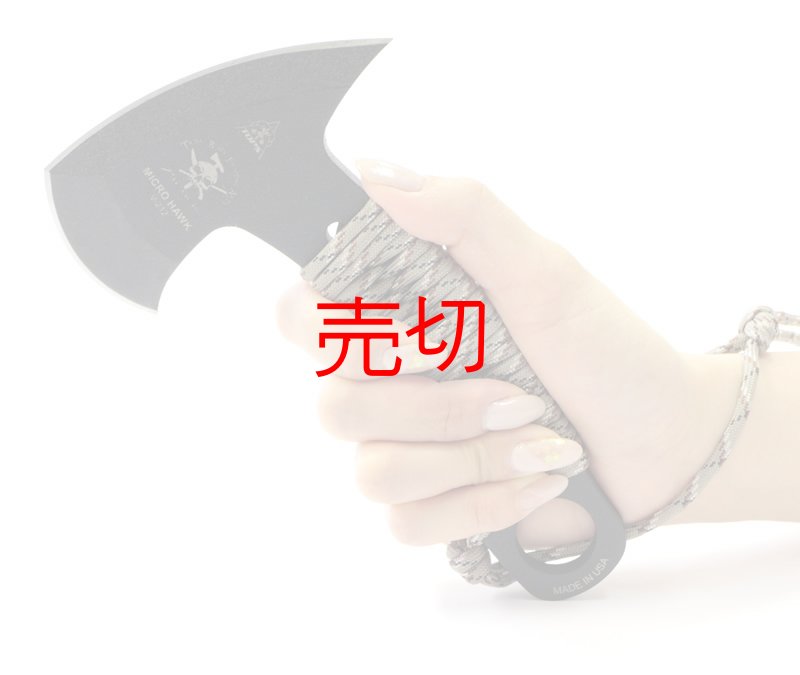 画像2: ザ・マイクロトマホーク (2)