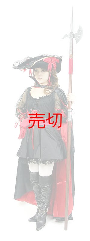 画像2: スイスハルバード 15世紀(長斧槍) (2)
