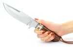 画像2: スキナーウッドスタッグナイフ (2)
