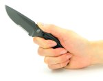 画像2: ガーバー ベーシックハーフセレーションナイフ (2)