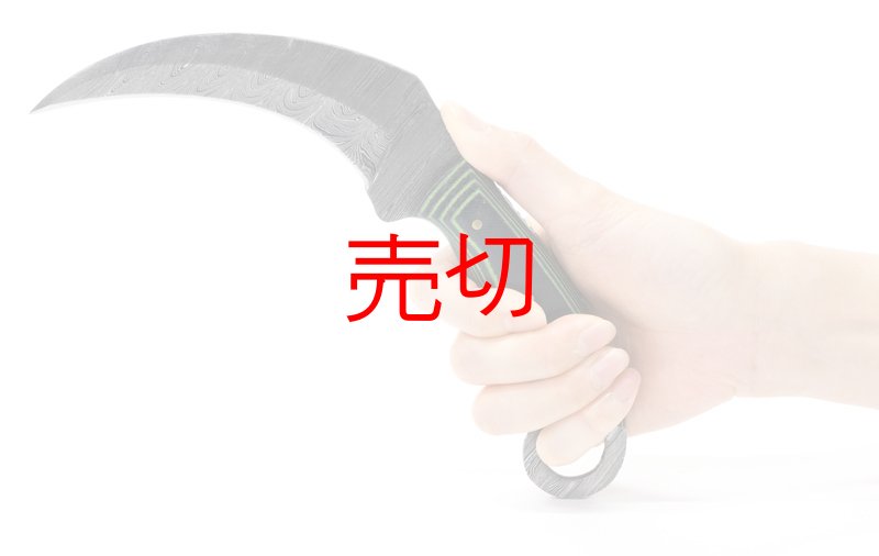 画像2: バックリングツリーリッジダマスカスナイフ (2)