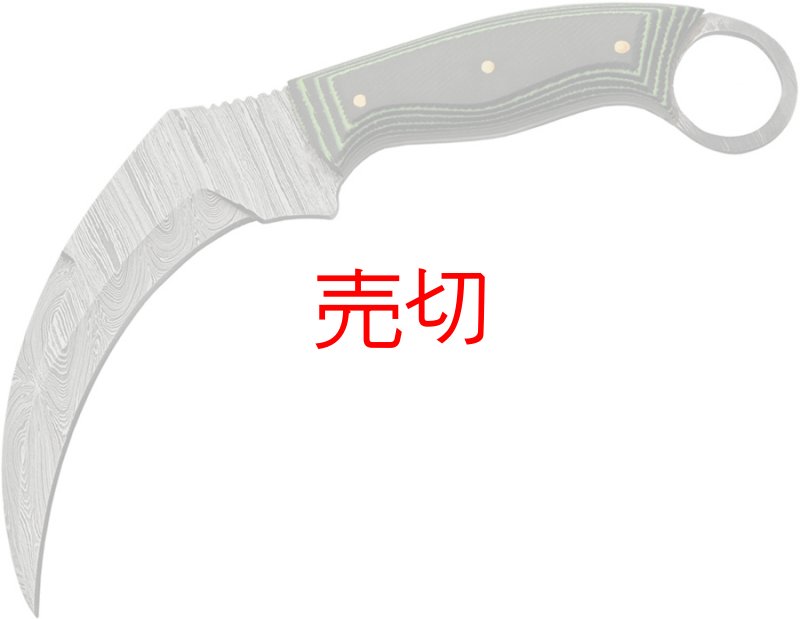 画像1: バックリングツリーリッジダマスカスナイフ (1)