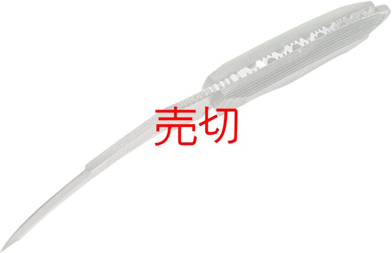 画像3: バックリングツリーリッジダマスカスナイフ (3)