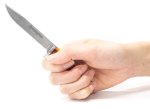 画像2: バックウッズスキニングナイフ (2)
