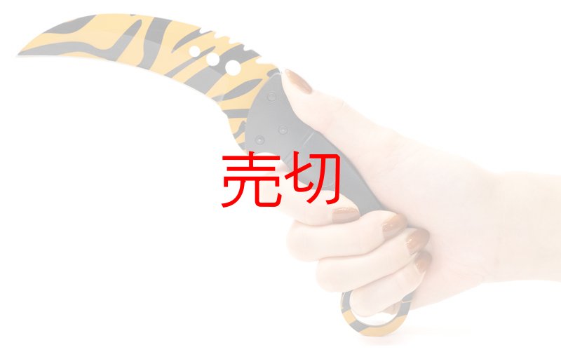画像2: タイガーラインカランビットナイフ (2)