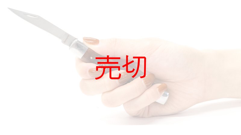 画像2: レミントン・バックウッズコングレスバードナイフ (2)