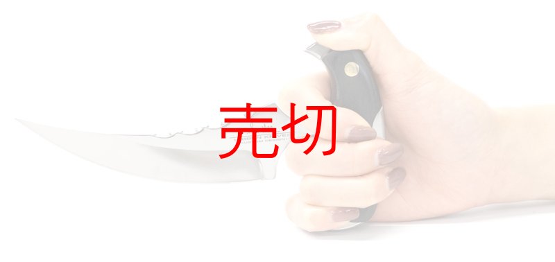 画像2: ザ・ヴァルカンプッシュタクティカルナイフ (2)