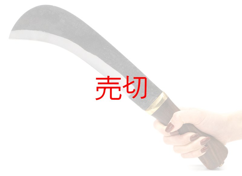 画像2: ビルフックブッシュマシェットナイフ (2)