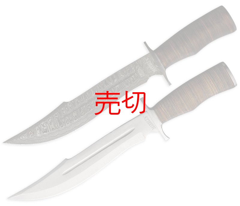 画像1: ボウイダマスカス＆サテン仕上げナイフ アウトレット (1)