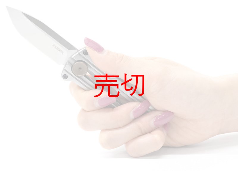 画像2: サイバーネットスライディングボタンロックナイフ (2)