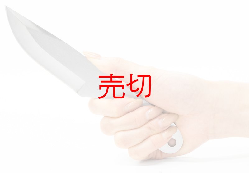 画像2: 投げナイフ3本セット・スローイングナイフ (2)