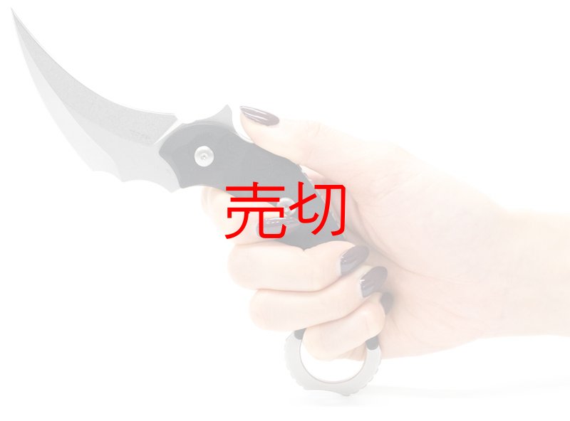 画像2: ヴェロキラプトル ピカルカランビットナイフ (2)